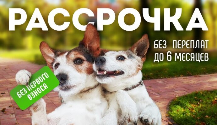 Рассрочка на ColorMix и BackWash 